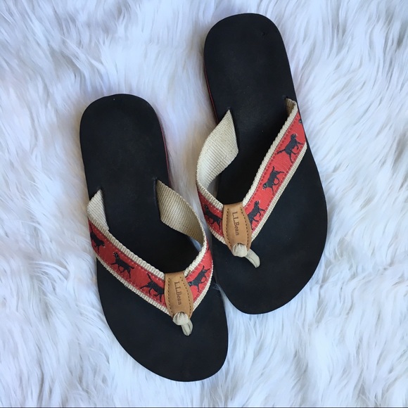 ll bean dog flip flops